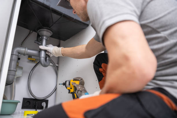 Best Plumbing Services Near Me  in Pahoa, HI